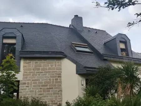 démoussage toiture L'Hermitage-1