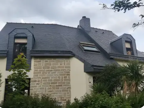 nettoyage toiture L'Hermitage-5